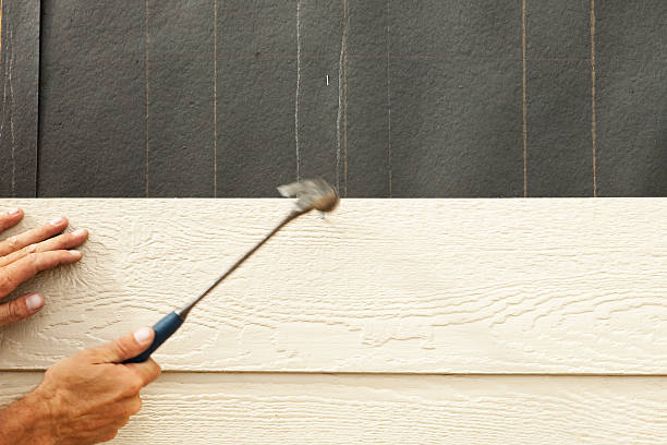 Best Siding Painting and Refinishing  in Junction City, OR